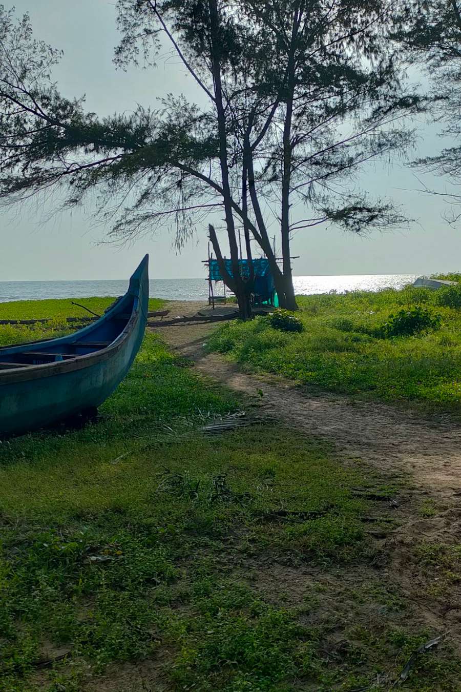 86715203 1836 medium large