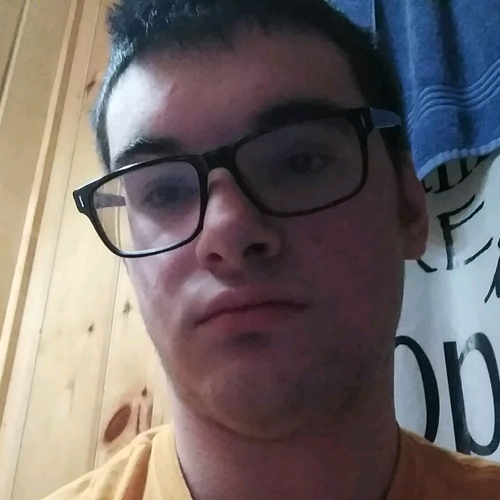53356533 4305