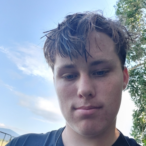 48933381 7229