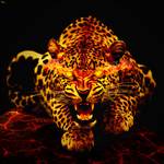 NAWAF's photo