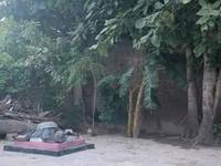 Harry sharma's photo