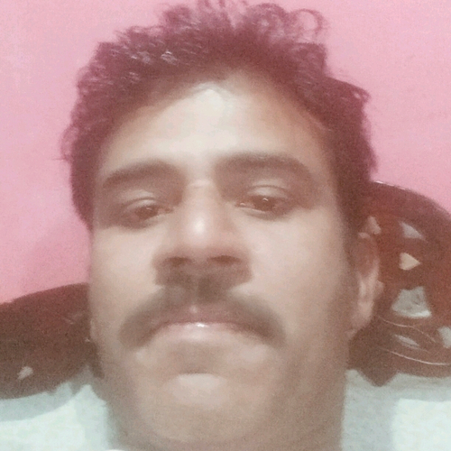 72383834 4295