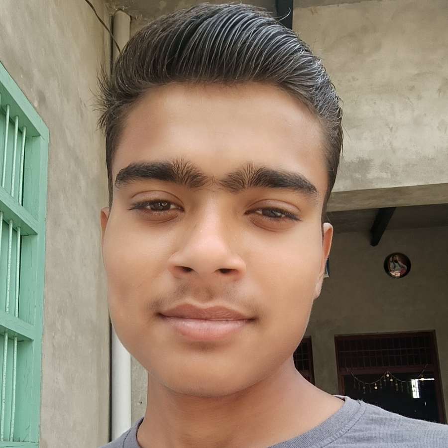 88394196 1647 medium large