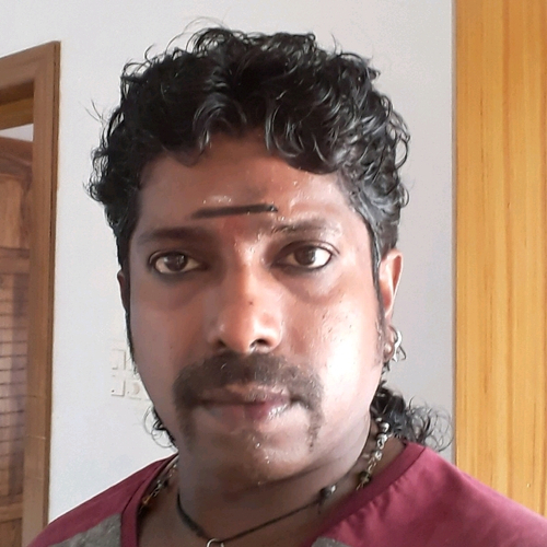 51973449 3153