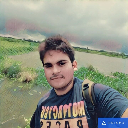 44579056 7434