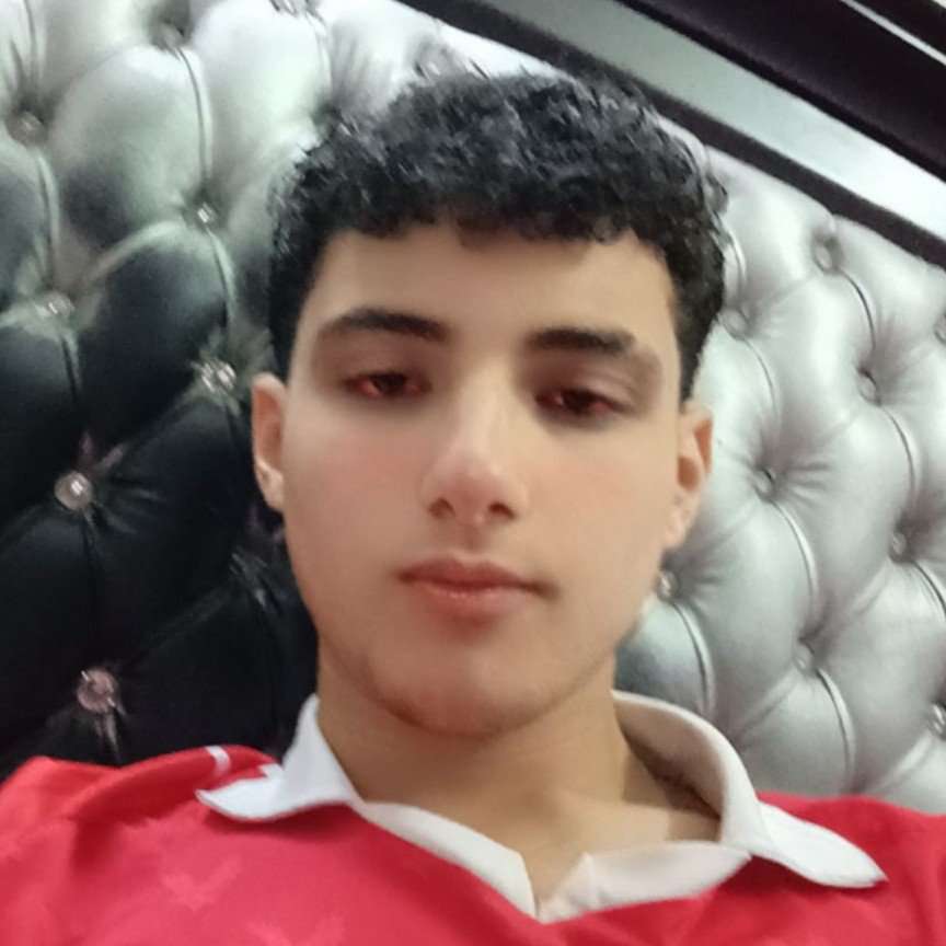 86667737 7338 medium large