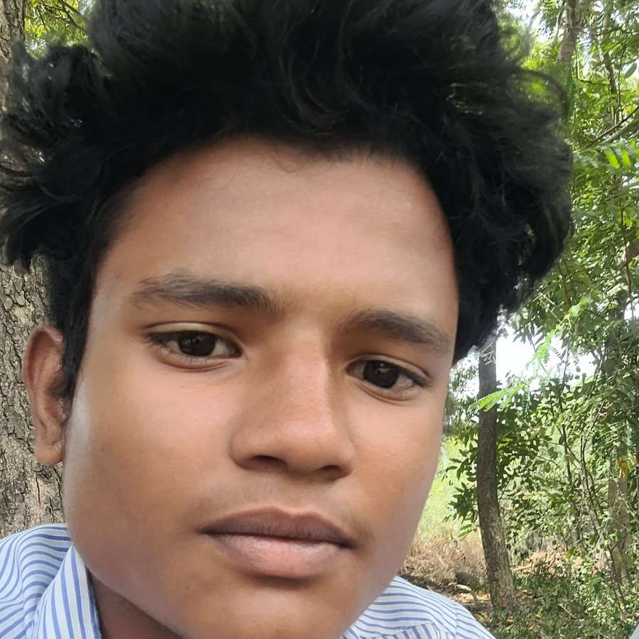 85082962 6620 medium large