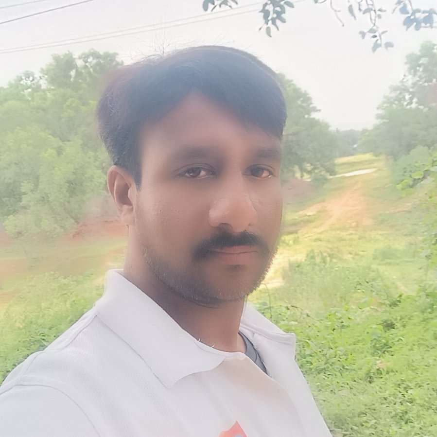 82674693 787 medium large