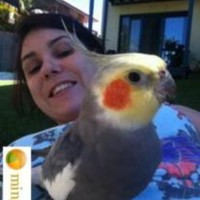 Possums's photo