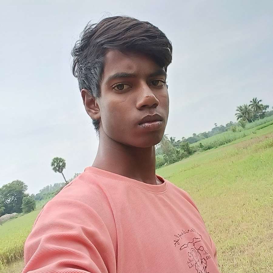 84293566 3531 medium large