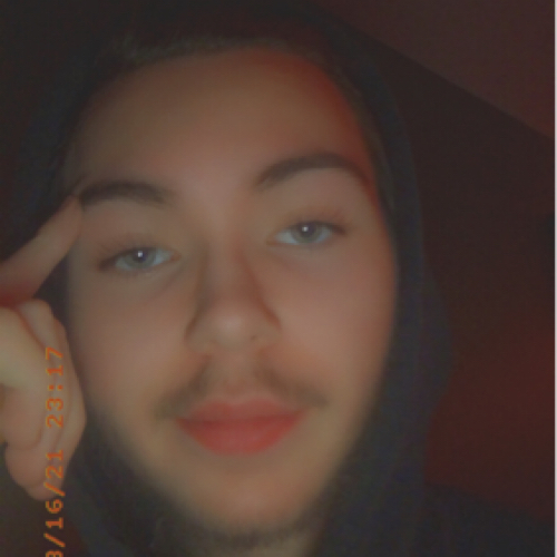 53457211 3397