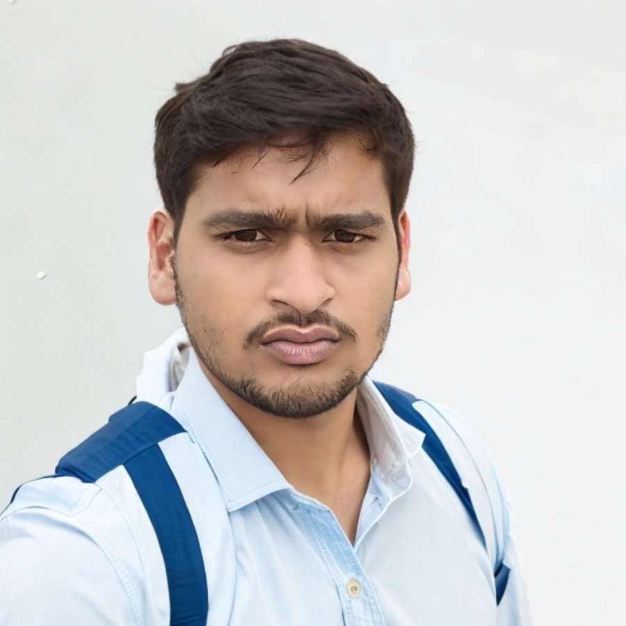77956006 2491 medium large