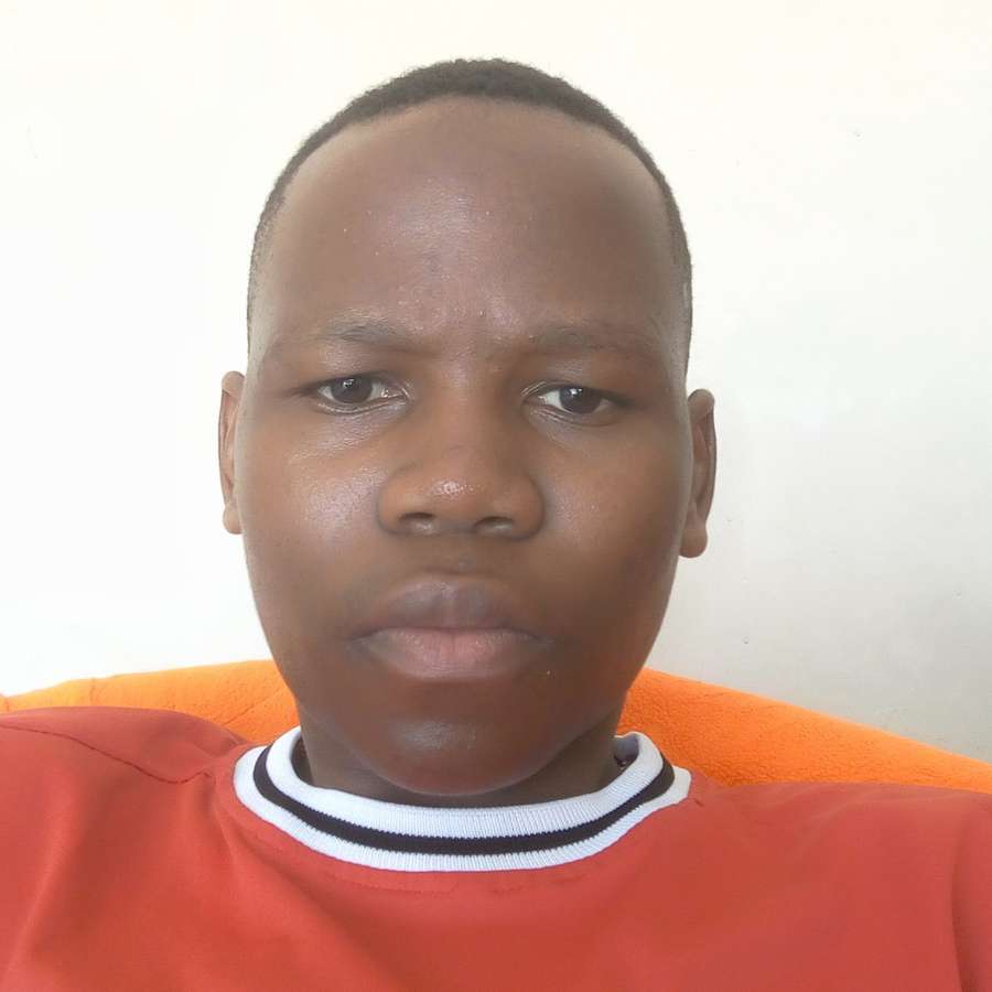 87380830 1866 medium large