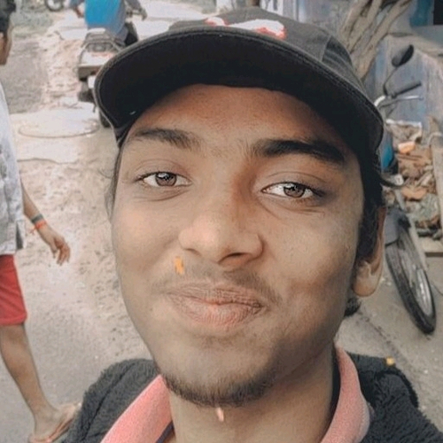 51437781 2023