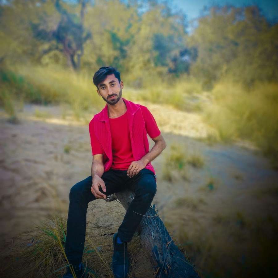 85421213 2495 medium large
