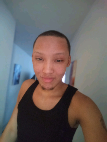 42081630 1486