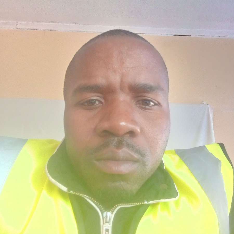 83221251 7252 medium large