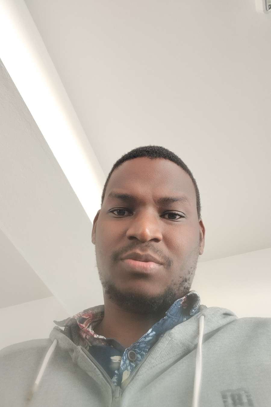 88376773 3953 medium large