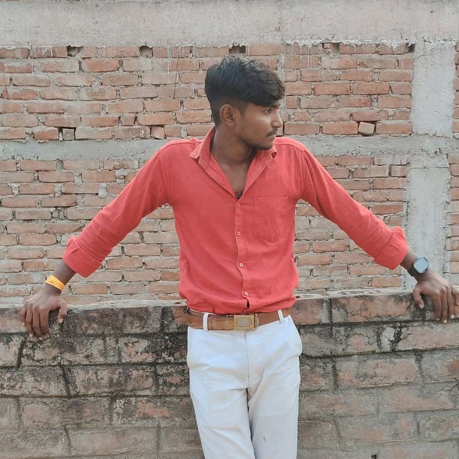 86366965 3753 medium large