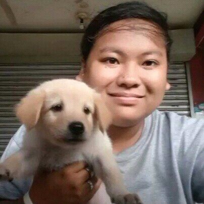 74726243 3259 medium large