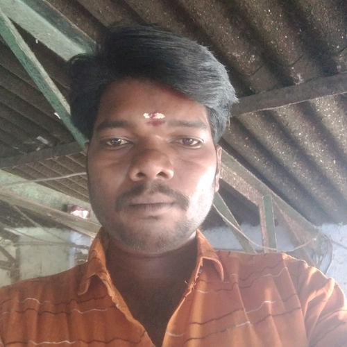 53090198 4391