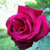 Rajib Debsarma's photo