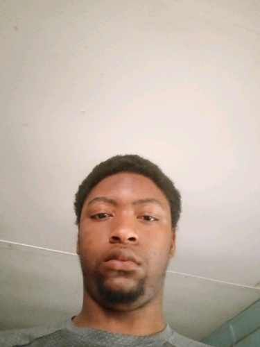 53694698 4392