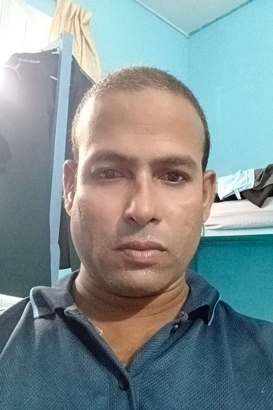 88567531 2131 medium large
