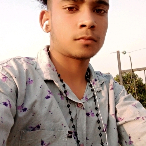 51039437 6919