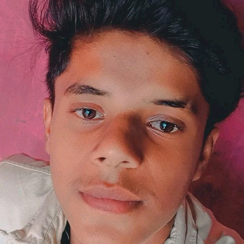 72520159 2904