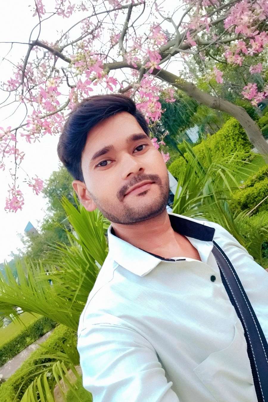 92128564 8077 medium large