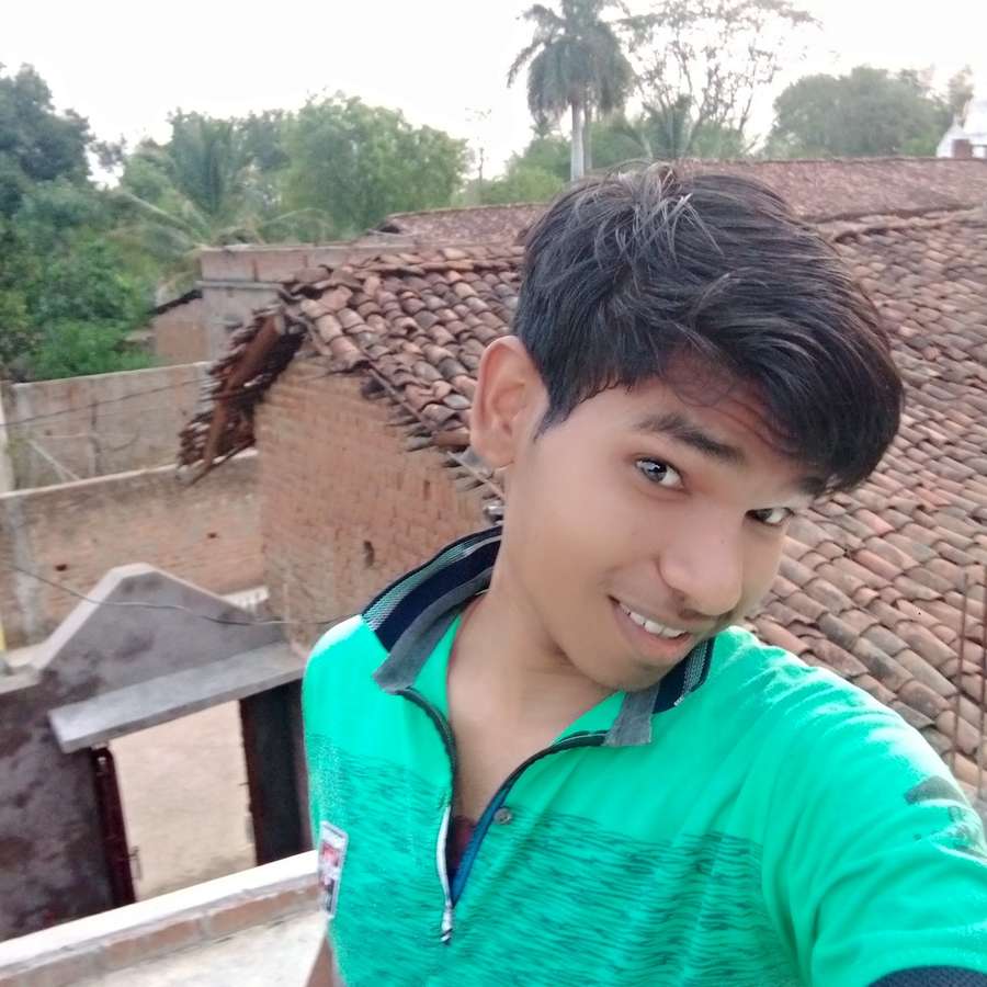 88038255 8516 medium large